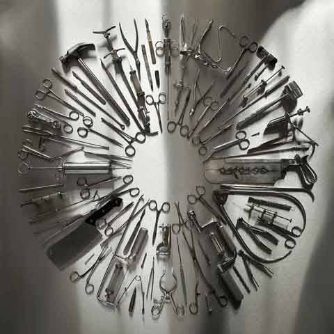carcass
